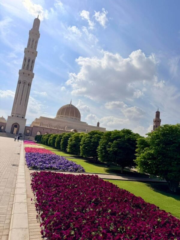 WhatsApp Image 2025-12-26 at 11.18.32 PM (1)