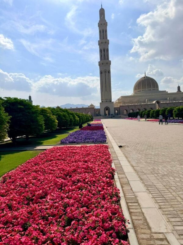 WhatsApp Image 2025-12-26 at 11.18.34 PM