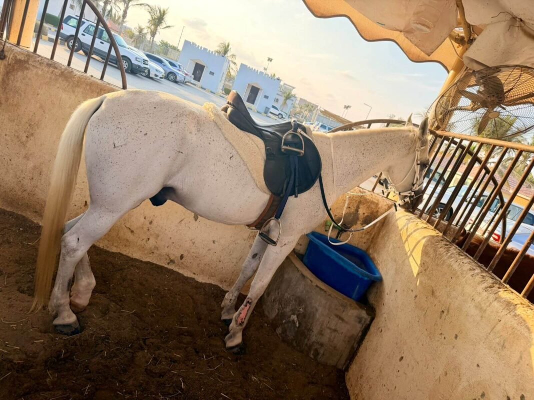 WhatsApp Image 2025-12-26 at 11.18.38 PM